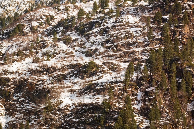 Nature Landscape